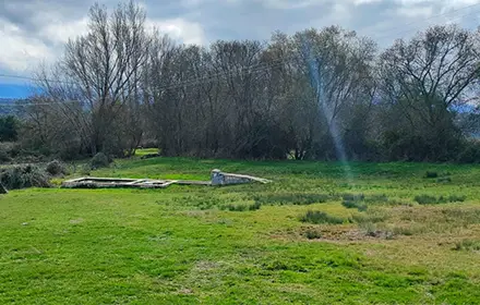 naturaleza activa en La casa de los Maestros